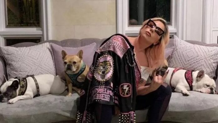 Lady Gaga con i suoi cani Lady Gaga cani