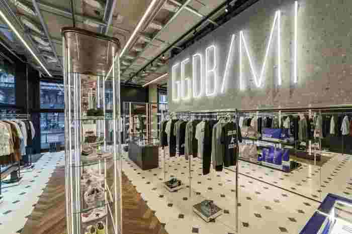 golden goose 768x512