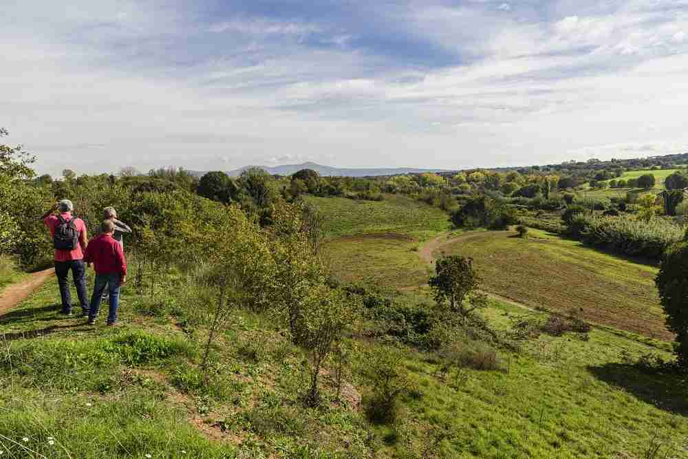 6 Parco della Caffarella