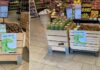 Brio porta in Germania la frutta made in Italy Brio Tegut2021