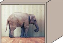 Elefante nella stanza metafora di crisi climatica