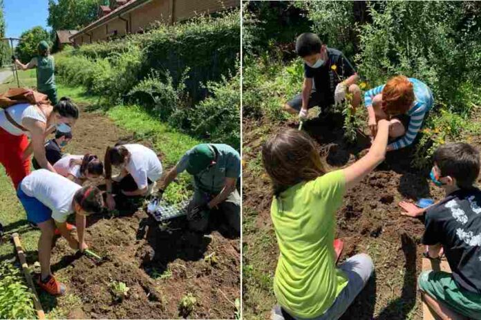 Foto Archivio Parco Nord Forestami