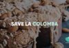 #SaveLaColomba Too Good To Go