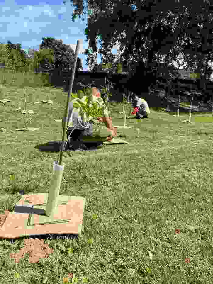 Forestami Piantumazione Parco dei Fontanili 02 LD