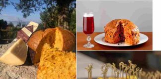 Una Mole di Panettoni Salati Torino