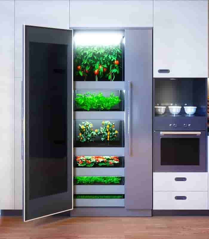 coltivazioni luna2 min