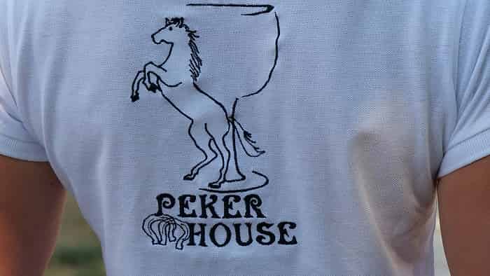 maneggio con alloggio min