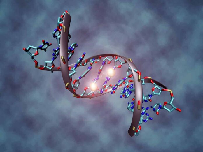 DNA methylation By Christoph Bock, Max Planck Institute for Informatics Own work DNA methylation By Christoph Bock, Max Planck Institute for Informatics Own work