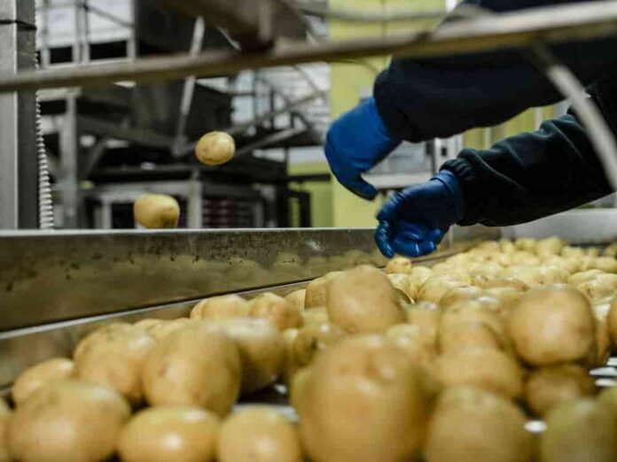 P1666365 AMPP – Associazione Marsicana Produttori Patate