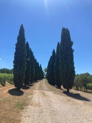Villa Le Prata 06