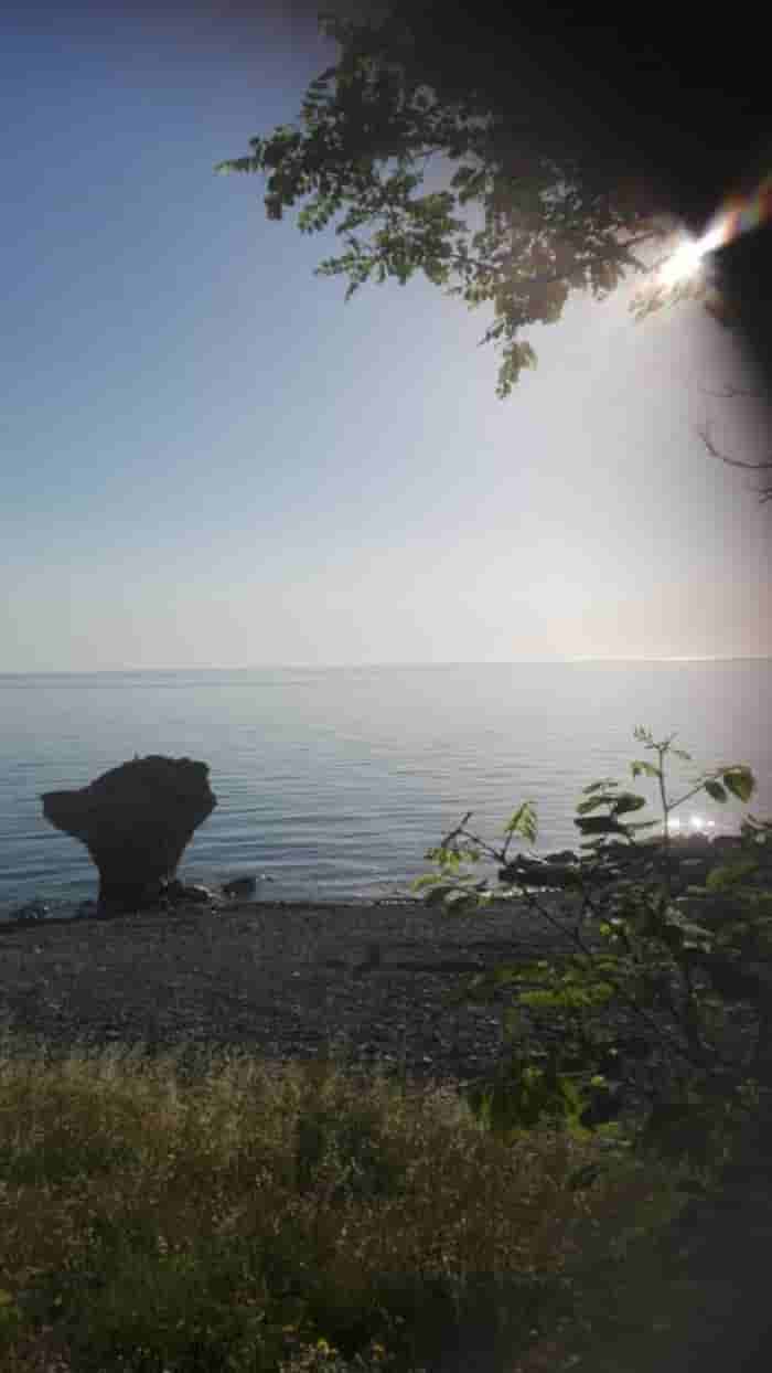 IMG 20210803 WA0006