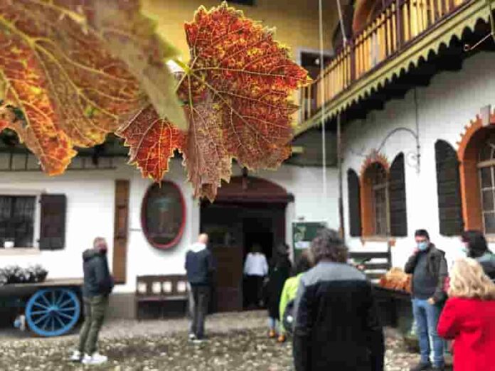 LaVignaEccellente web FototecaStradaVinoSaporiTrentino L.Campolongo (134) 