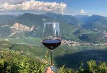 Dazi Usa vino