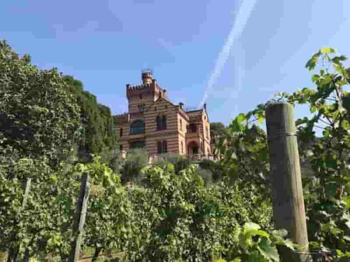 Tenuta Castello Bonomi