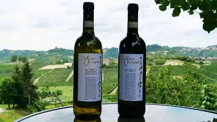 vini ciapat