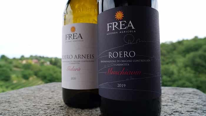 vini frea