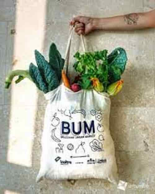 BUM BUM