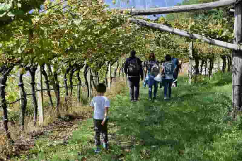 DiVinOttobre FototecaStradaVinoSaporiTrentino Ph.M.Facci (1)