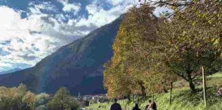 DiVinOttobre FototecaStradaVinoSaporiTrentino Ph.M.Facci (2) lr