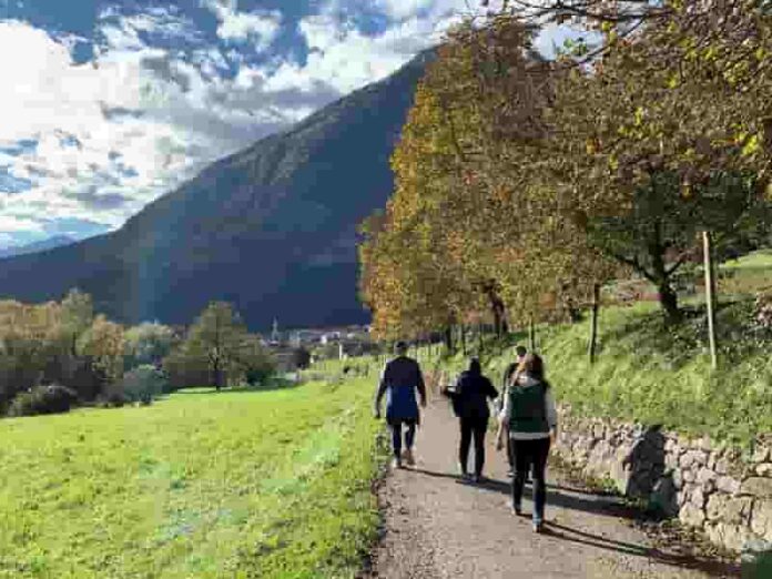 DiVinOttobre FototecaStradaVinoSaporiTrentino Ph.M.Facci (2) lr