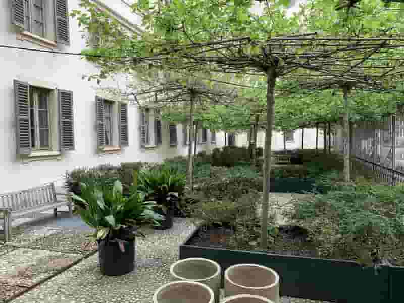 ORTICOLA Giardino Palazzo Reale Manuntenzione
