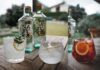 Cocktail: le ricette di Naturæ Gin Naturæ Gin Cocktail insieme 2000px