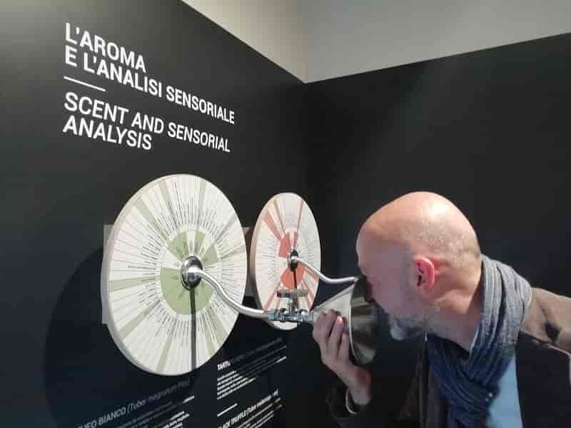 Acqualagna Museo del Tartufo 3