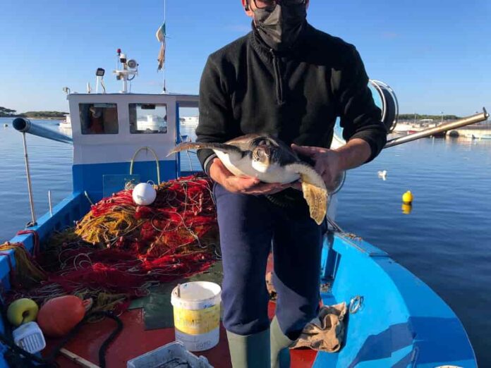 Gianni Imperiale con Natalie