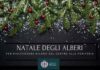 Milano. Ritorna il Natale degli alberi edizione 2021 Natale degli alberi