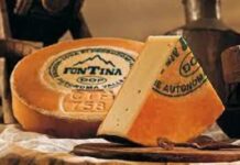 Fontina DOP