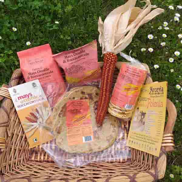 Mais Ottofile di Roccacontrada