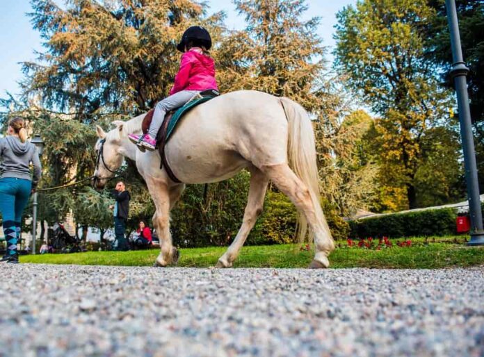 Milano Ippodromo cavalli Battesimo della sella Pony