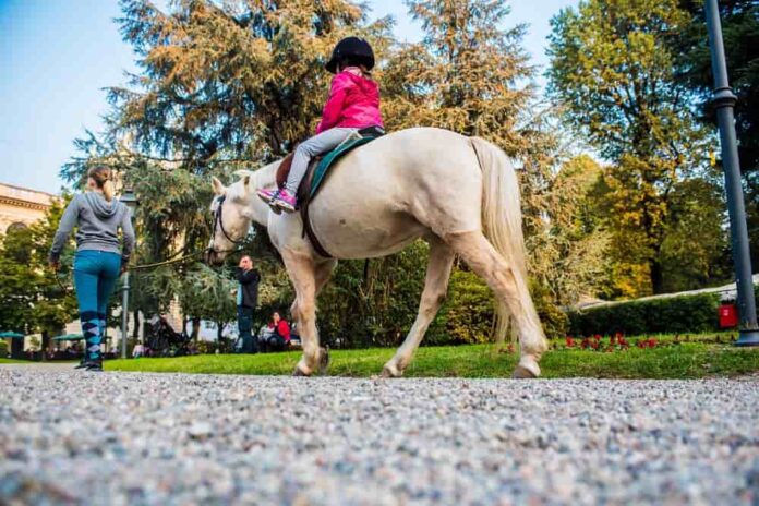 Ippodromo SNAI San Siro DSC 8306