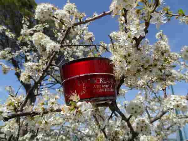 Licofarma lycocream ROSSA