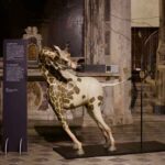 10 Sandro Gorra LA GIRAFFA NUDA Chiesa Sant Agostino Pietrasanta