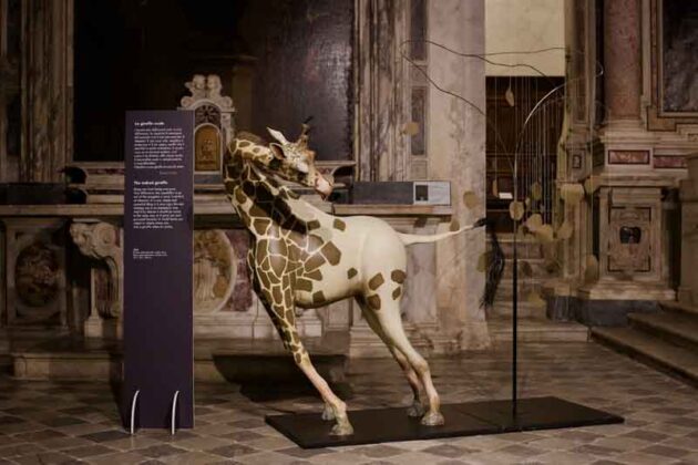 10 Sandro Gorra LA GIRAFFA NUDA Chiesa Sant Agostino Pietrasanta