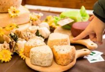 Formaggi e & sorrisi cremona ONAF