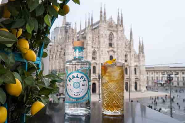 Malfy Gin a Milano Amalfi