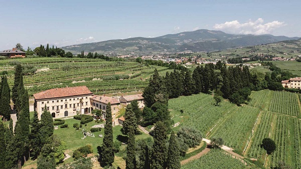 Tenuta Villa Bellini azienda