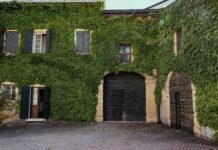 Le prime volte di Tenuta Villa Bellini Tenuta Villa Bellini cantina