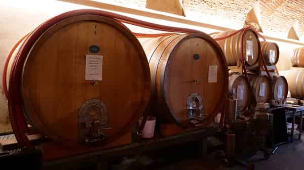 scorcio cantina 1