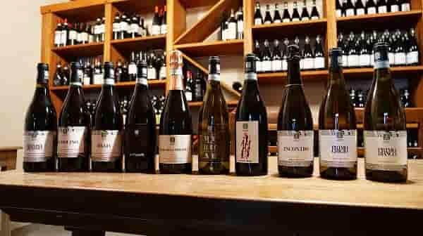 selezione vini