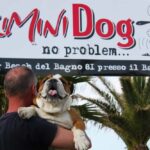 2 rimini dog no problem