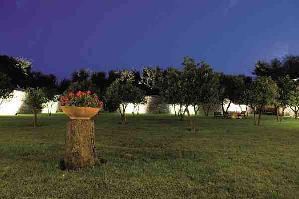 Aranceto