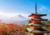 Japan Show – La cultura giapponese va in scena a Cremona | 21-22 maggio Giappone