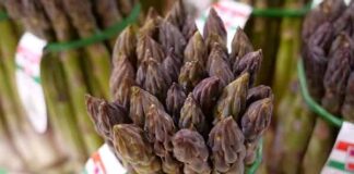 asparagi punte