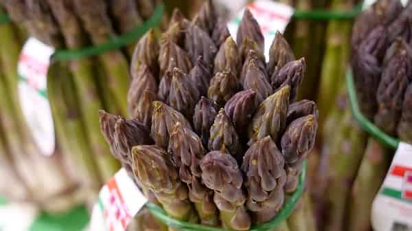 asparagi punte asparagi punte
