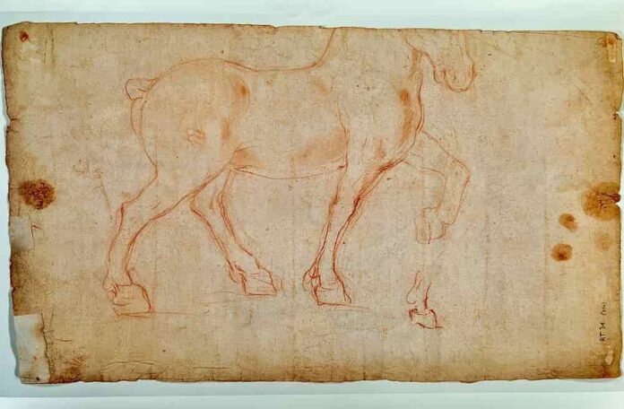 Cavallo a sanguigna su carta, fine XV inizio XVI secolo, cm 27,5 x 45,3 retro