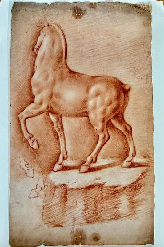 Cavallo a sanguigna su carta, fine XV inizio XVI secolo, cm 45,3 x 27,5 fronte