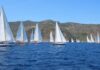 Al via il Sail Rally delle Vele Storiche Viareggio Vele d'epoca in regata a Capraia Foto Maccione